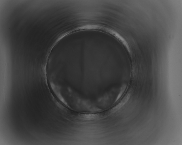 X0000100891425200807151048