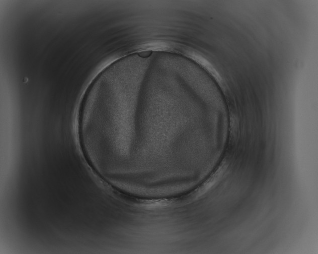 X0000100891426200807151048