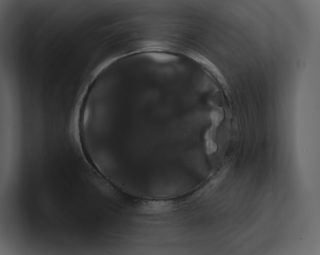 X0000100891427200807151048