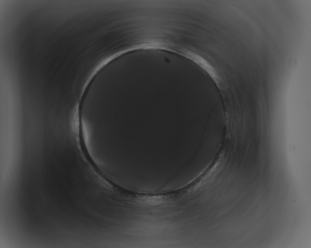 X0000100891428200807151048