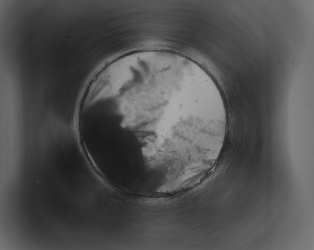 X0000100891429200807151048