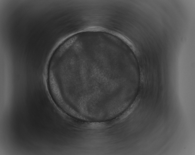 X0000100891430200807151048