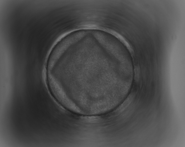 X0000100891432200807151048