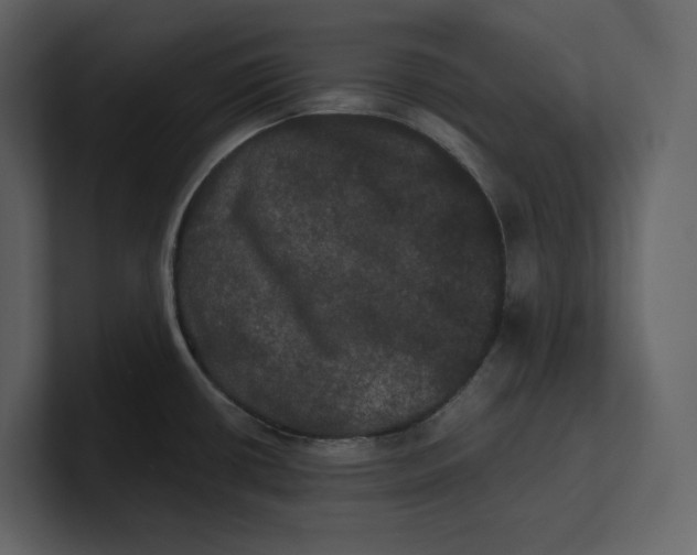 X0000100891434200807151048