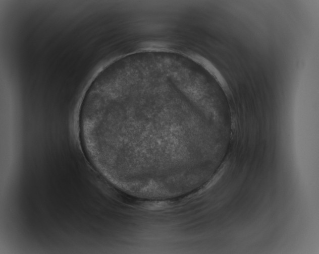 X0000100891435200807151048