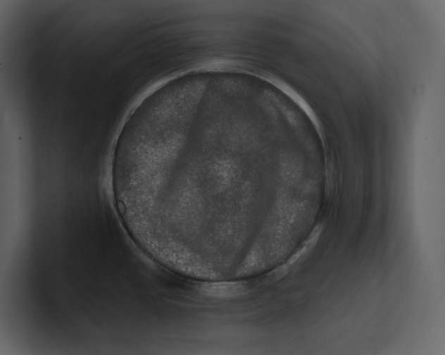 X0000100891437200807151048