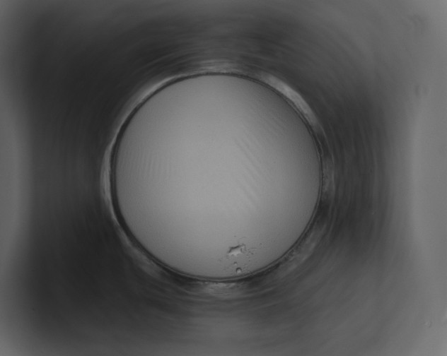 X0000100891439200807151048