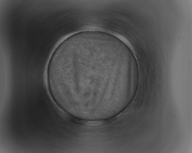 X0000100891440200807151048