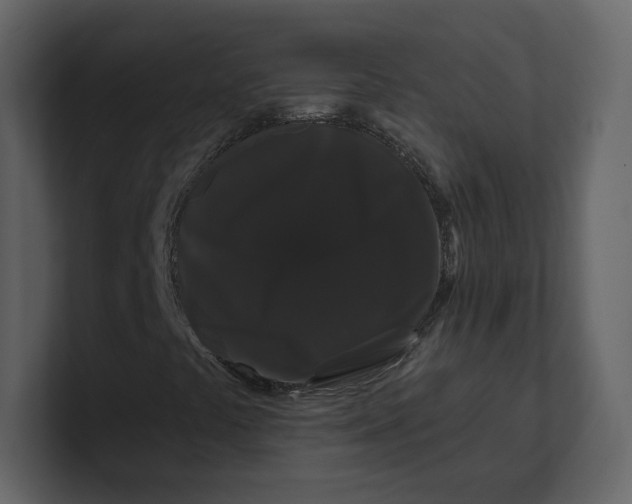 X0000100891441200807151047