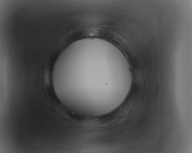 X0000100891442200807151047