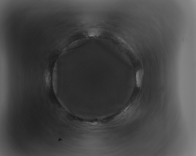 X0000100891443200807151047