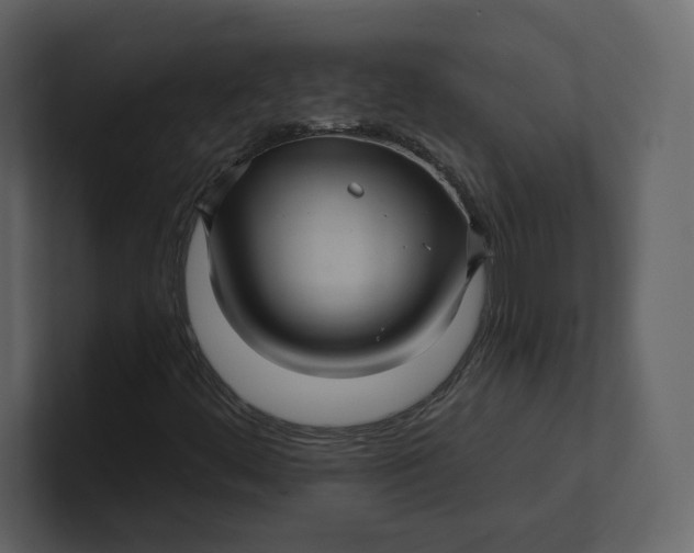 X0000100891444200807151047