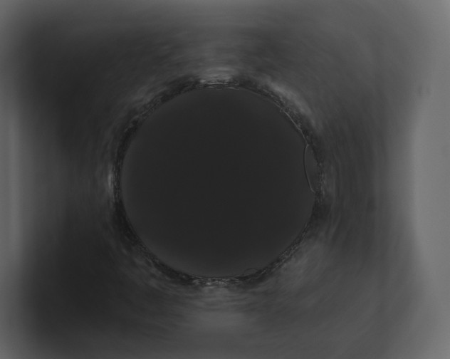 X0000100891445200807151047