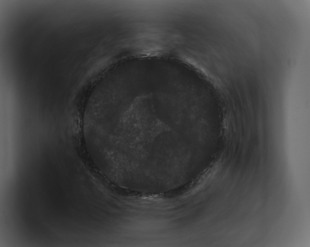 X0000100891447200807151047