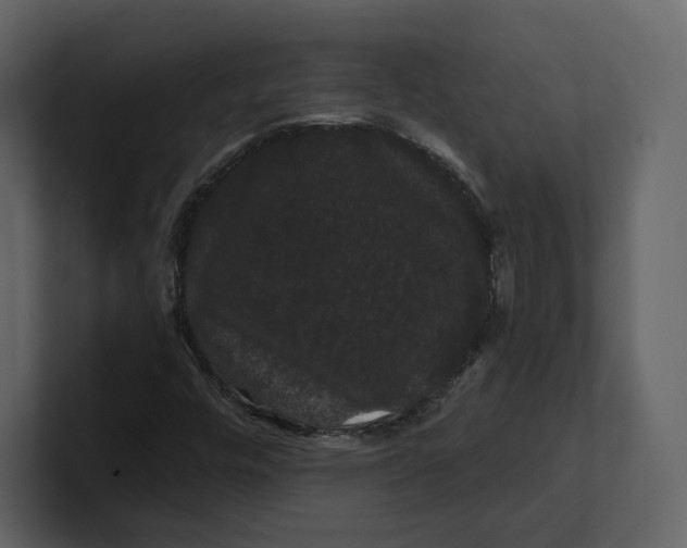 X0000100891448200807151047