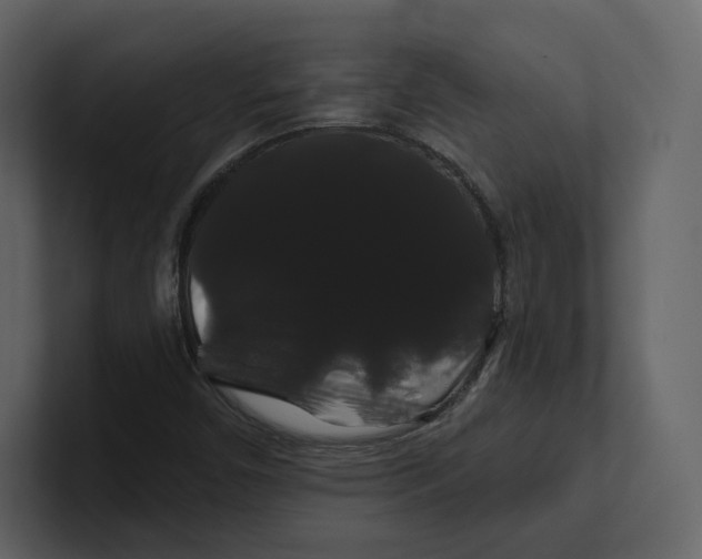 X0000100891450200807151047