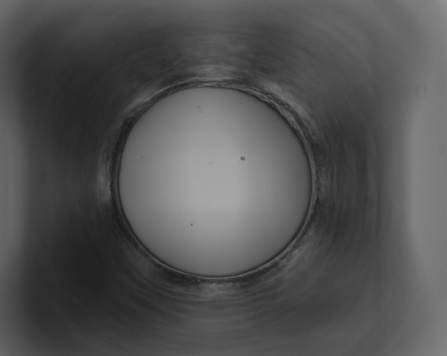 X0000100891451200807151047