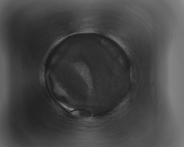 X0000100891452200807151047