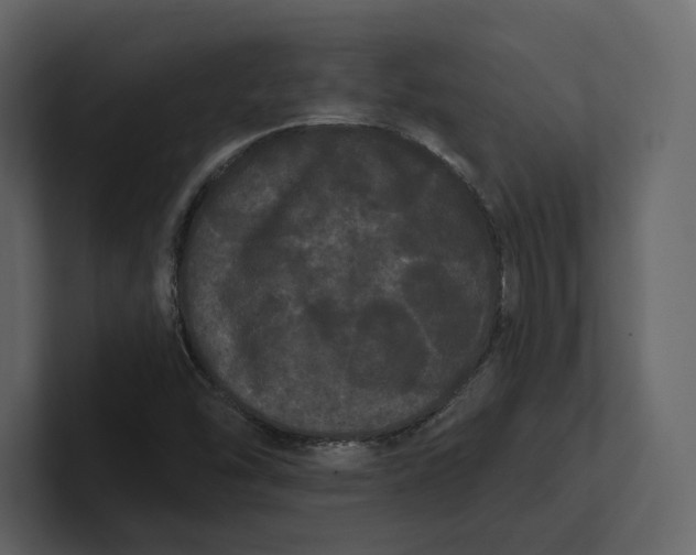 X0000100891454200807151047