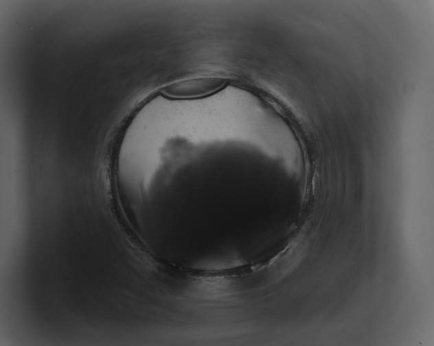 X0000100891455200807151047