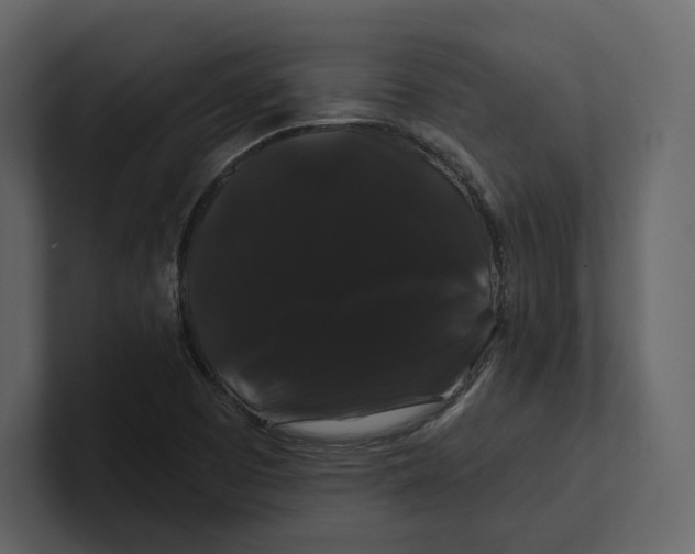 X0000100891457200807151047