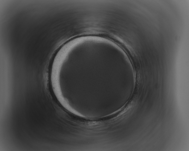 X0000100891459200807151047