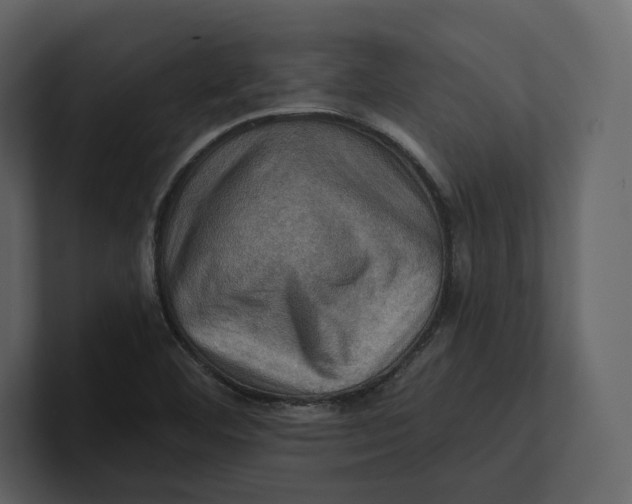 X0000100891460200807151047