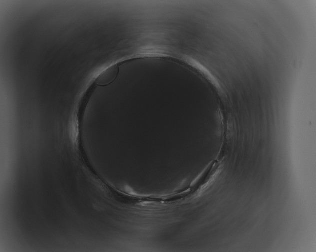 X0000100891461200807151047