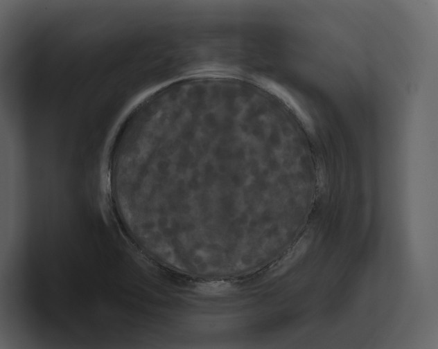 X0000100891462200807151047