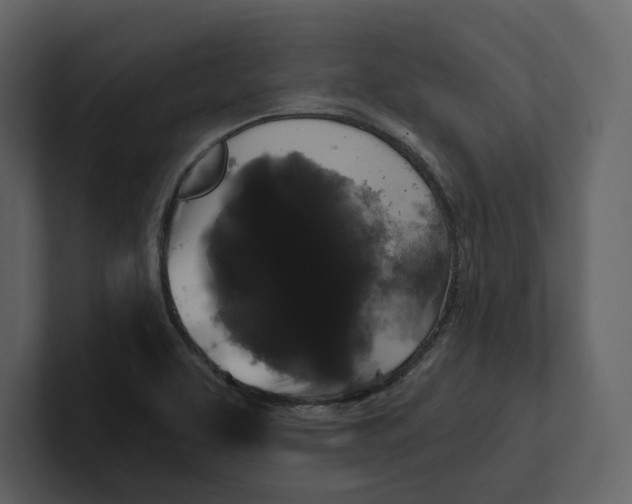 X0000100891463200807151047