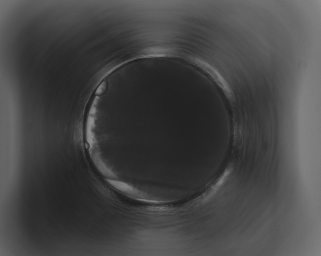 X0000100891465200807151047