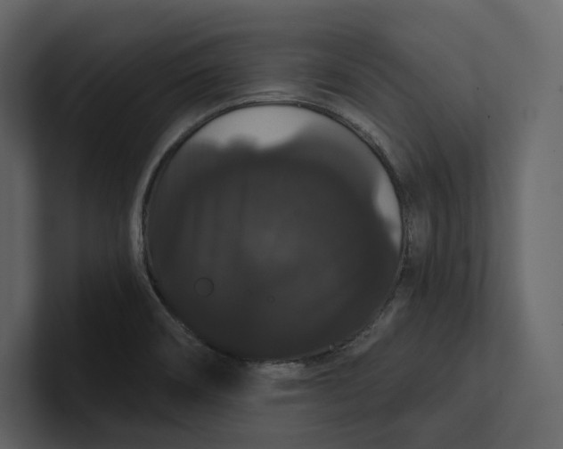 X0000100891466200807151047