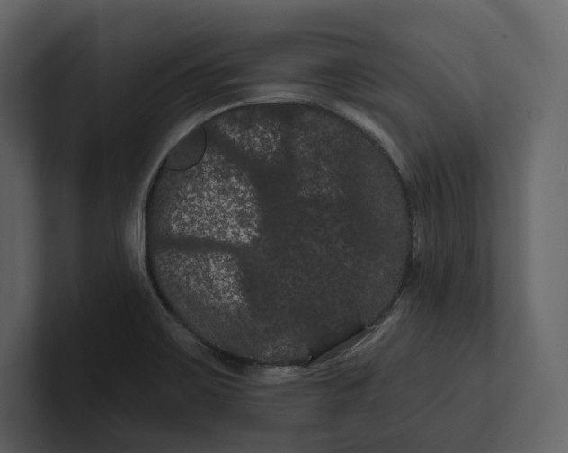 X0000100891467200807151047