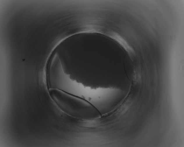 X0000100891468200807151047