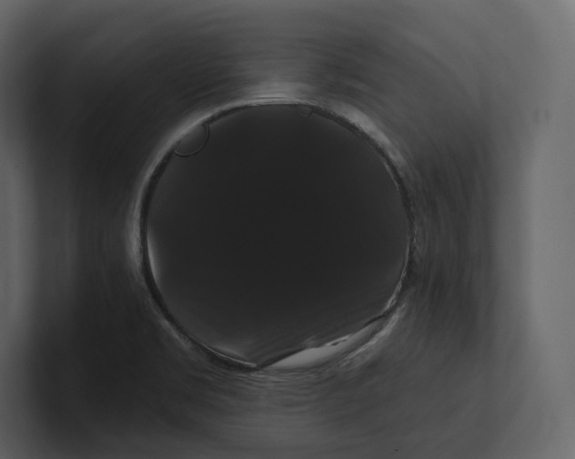 X0000100891469200807151047