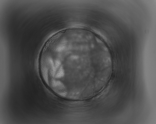 X0000100891471200807151047