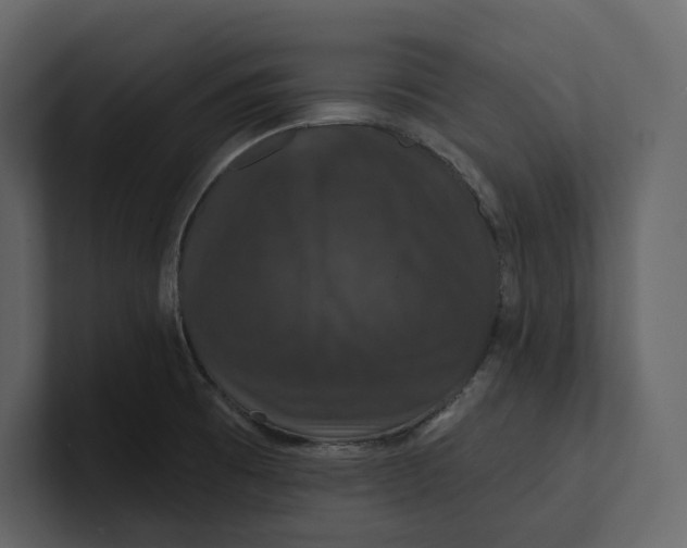 X0000100891473200807151047