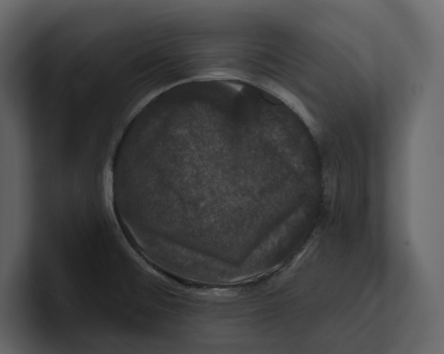 X0000100891476200807151047