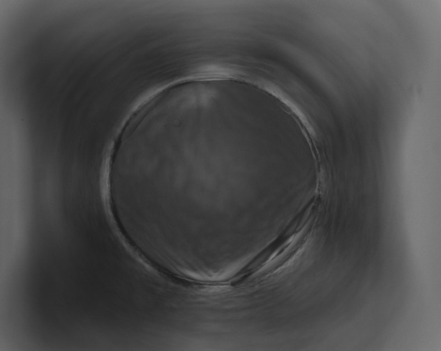 X0000100891477200807151047