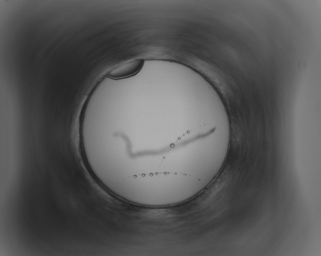 X0000100891479200807151047