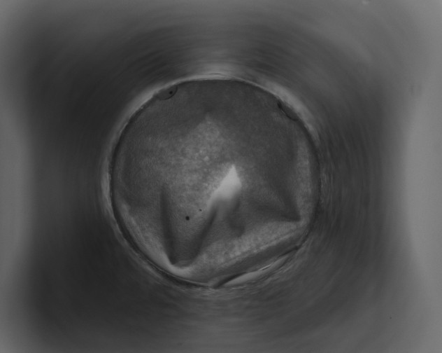 X0000100891480200807151047