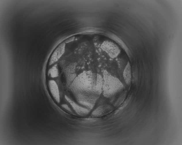 X0000100891483200807151047