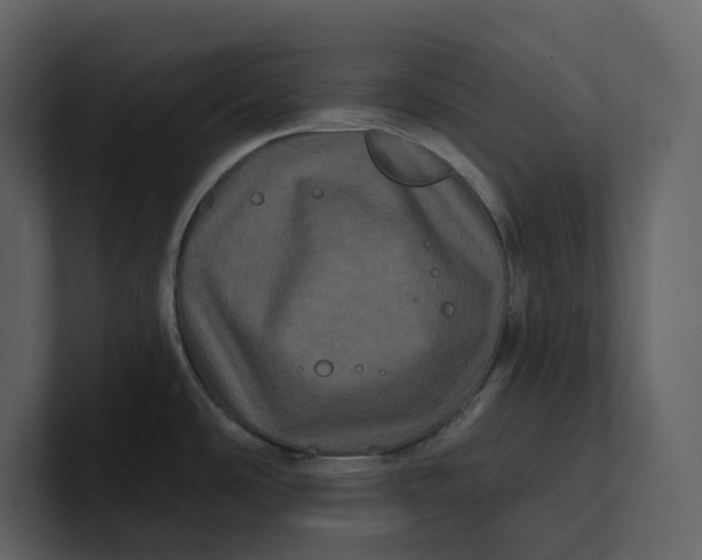 X0000100891486200807151047