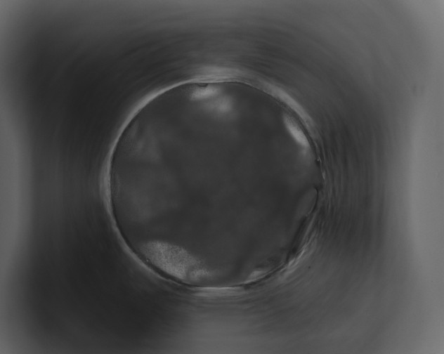 X0000100891487200807151047