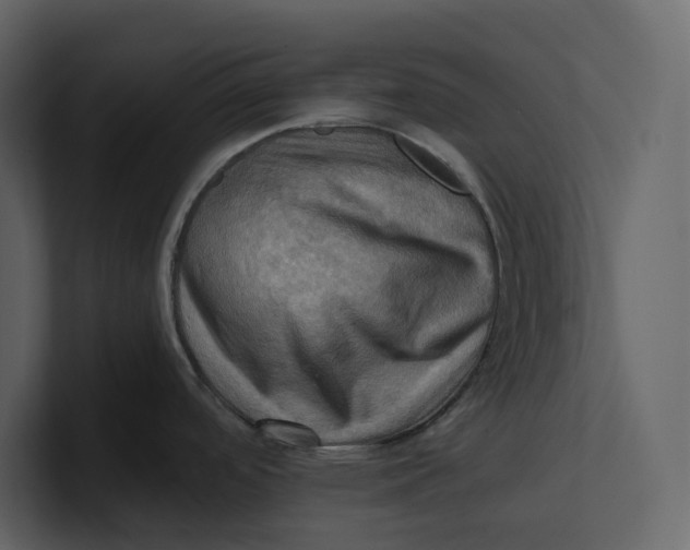 X0000100891488200807151047