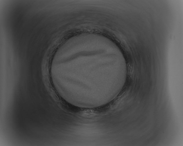 X0000100891489200807151046