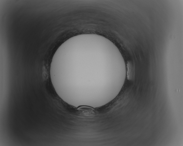 X0000100891491200807151046