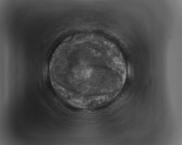 X0000100891492200807151046