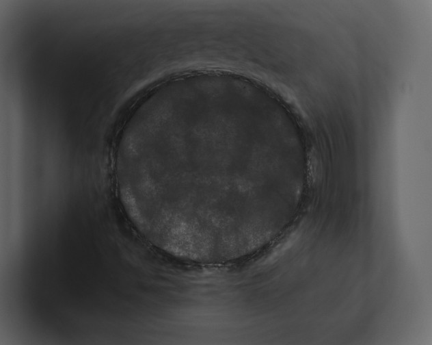 X0000100891494200807151046