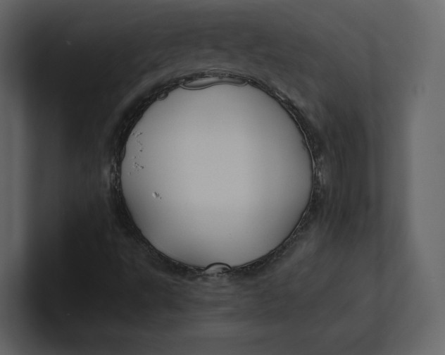 X0000100891495200807151046